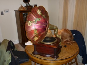  phonograph horns victrola type flower shaped speaker search on myspace